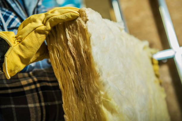 Best Insulation Installation Services in Mound Bayou, MS